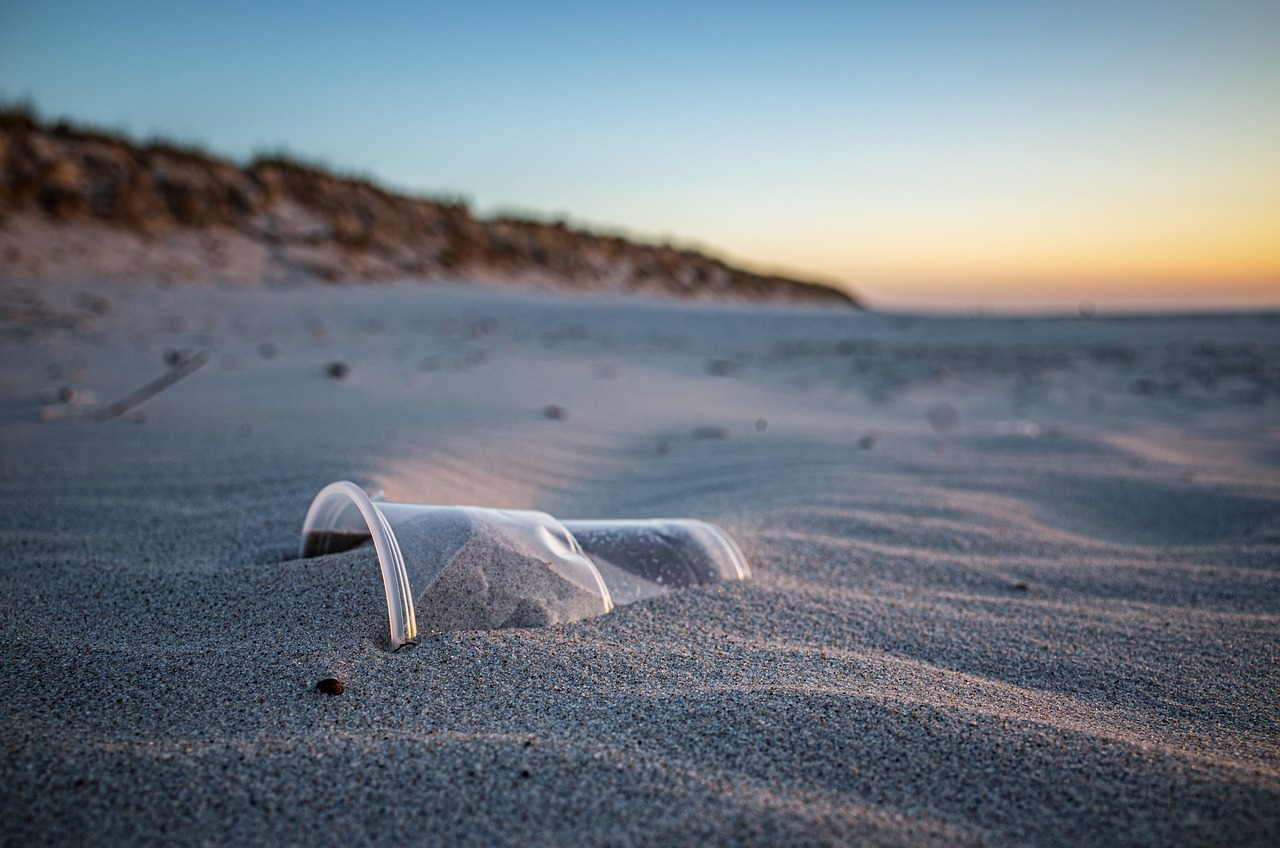 Are Biodegradable Plastics Really Eco-Friendly?